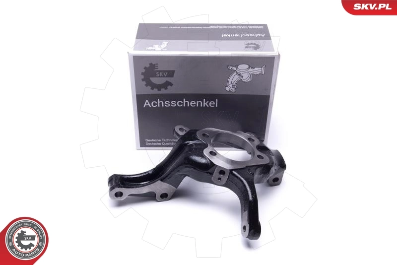 Steering Knuckle, wheel suspension